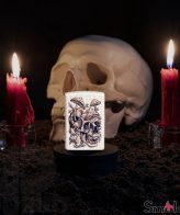 Zippo_49786_Skullshroom_Design_print42o.ir (3)